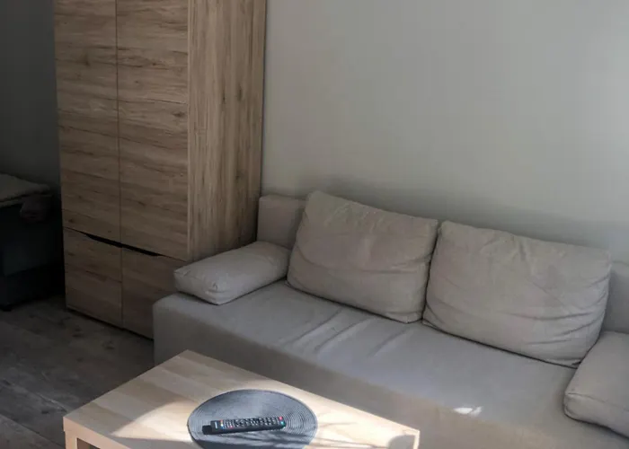 Przytulne Mieszkanie Przy Parku Modrzewie Elbląg